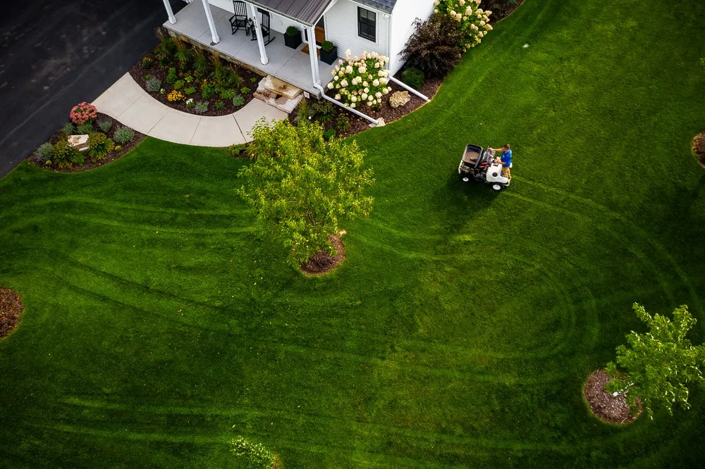 Commercial Lawn Maintenance: What Property Managers Should Expect