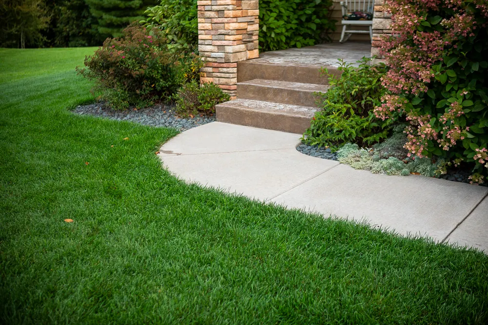Lawn Disease Prevention and Treatment Strategies