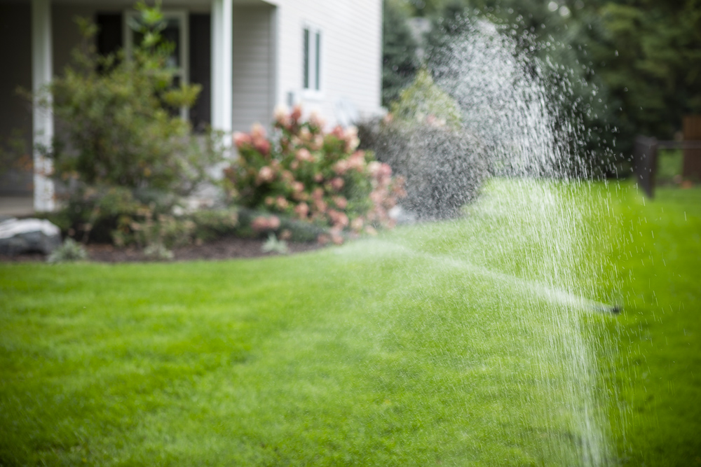 7 Tips to Make Your Irrigation System More Efficient