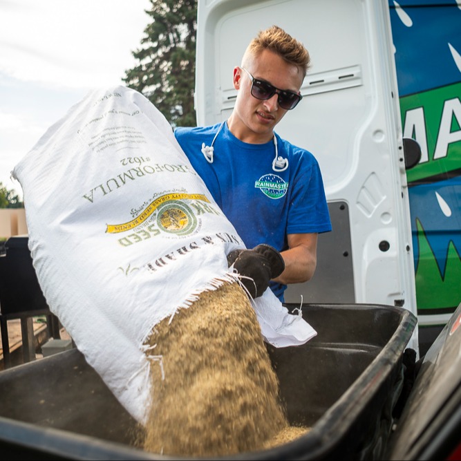 lawn team grass seed 2