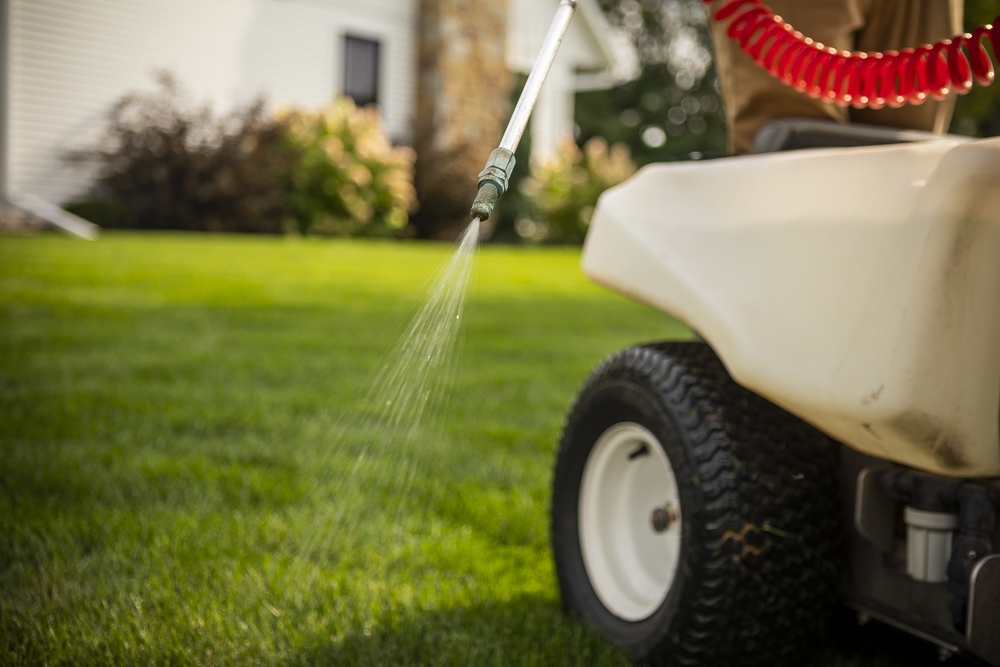 spot spraying weeds in grass
