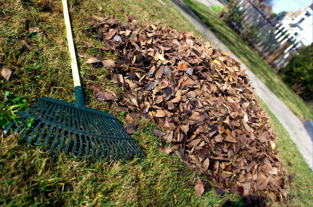 5 Ways a Landscape Spring Cleanup Will Benefit Your Eau Claire, WI Lawn & Landscape