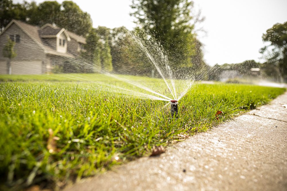 irrigation close-up 2