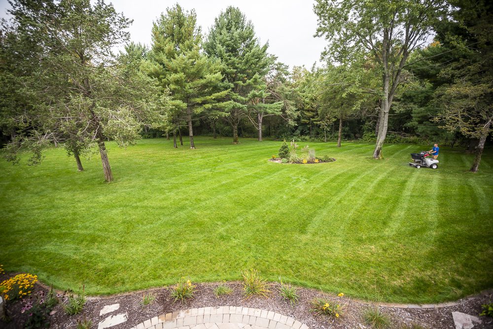 Is Grub Control Necessary? Do I Need it Every Year?