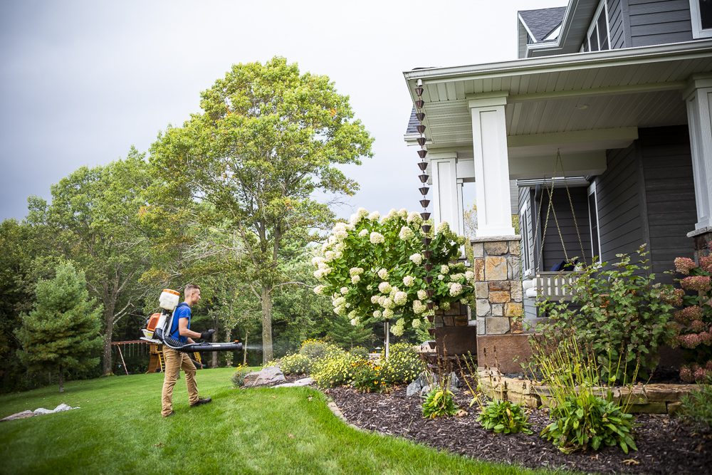 Mosquito Barrier Spray, Fogging & Misting: What’s the Difference?