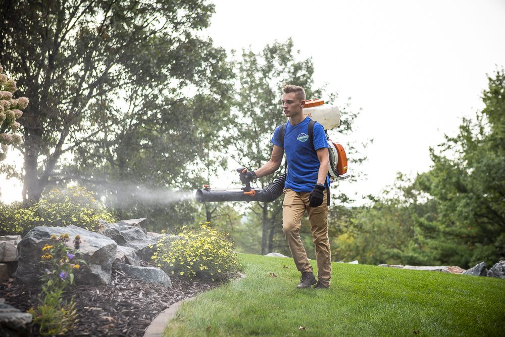 Lawn care technician spraying mosquito control