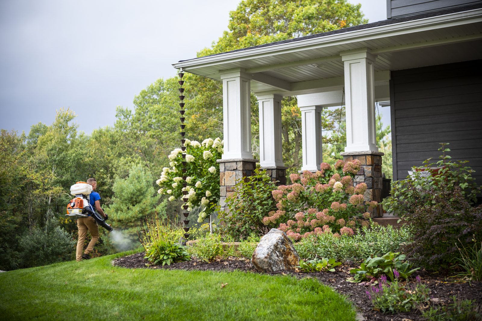The Most Common Questions About Mosquito Control in Minneapolis & Eau Claire