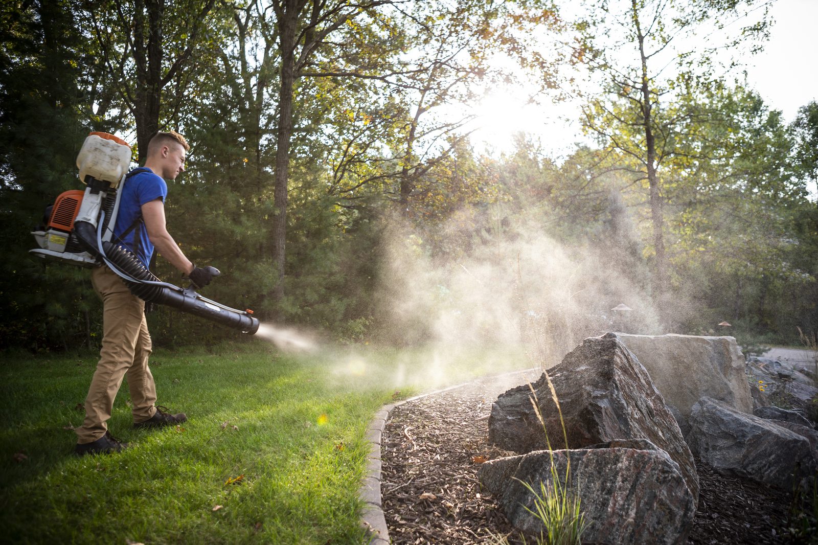 The Comprehensive Guide to Controlling Ticks and Mosquitoes in Your Backyard