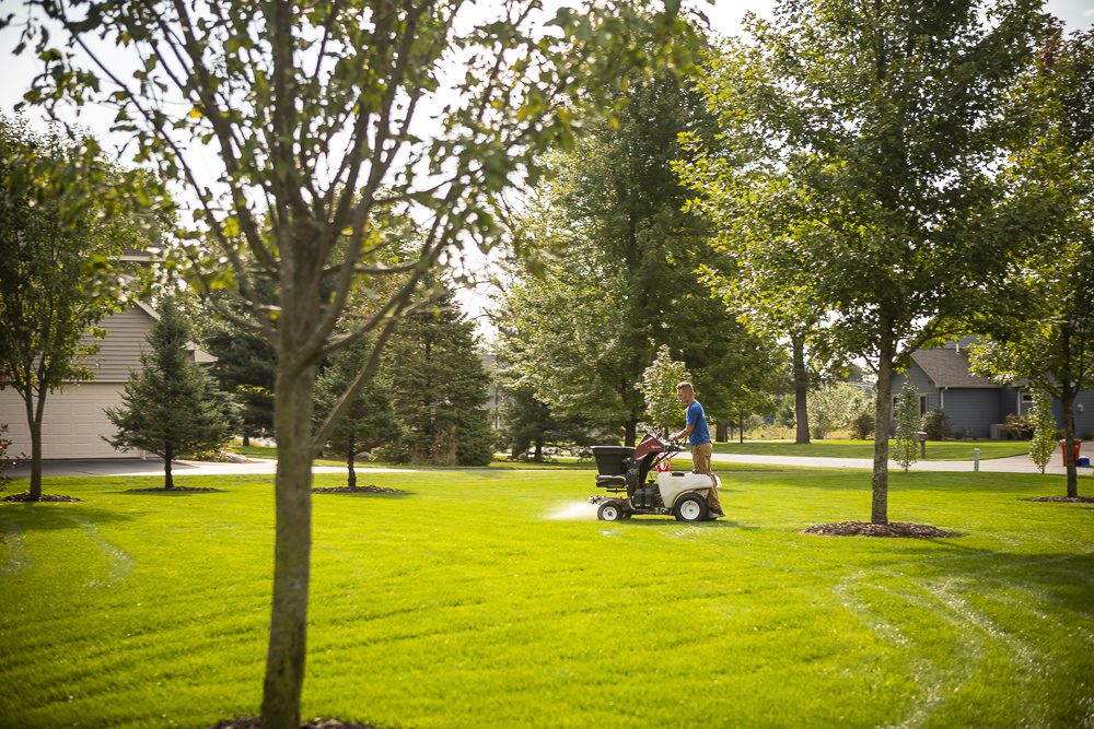 DIY Lawn Care or Professional Service: What's Best for Your Lawn?