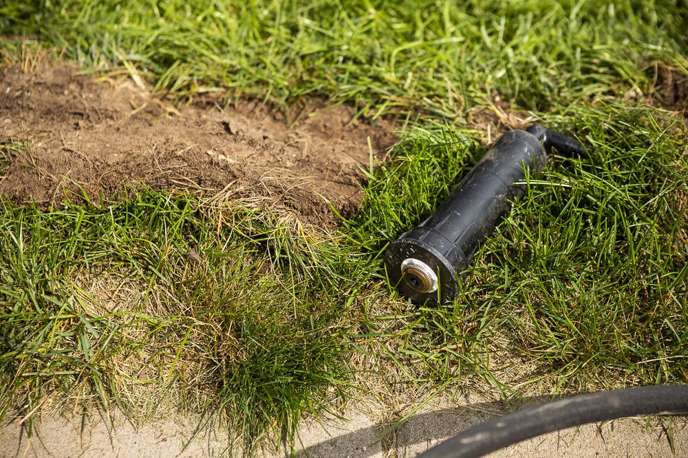 sprinkler head laying on grass