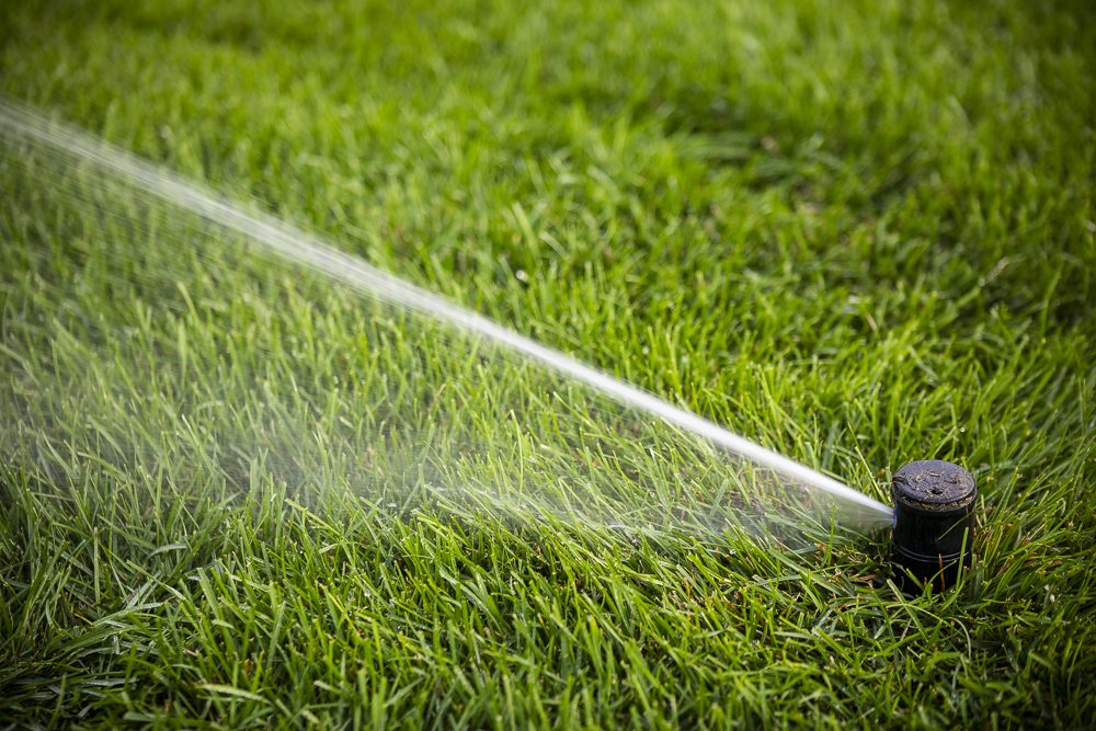Irrigation Control: How Overwatering Can Damage Your Lawn & Cost You Money