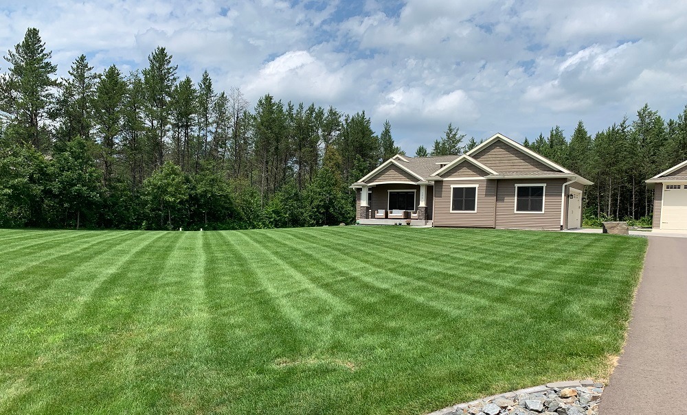 Kevins lawn 6 - edit