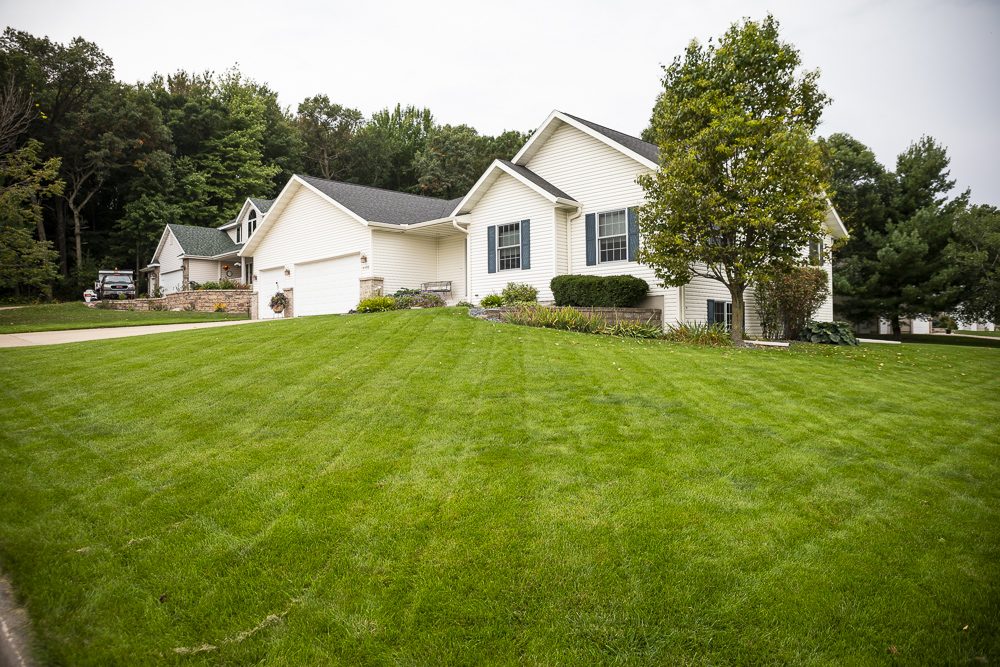 lawn mowed to ideal height