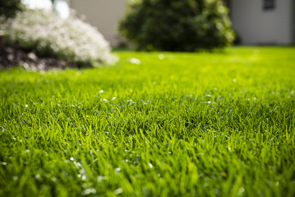 Lawn Mowing Tips for Healthy Grass in Minnesota & Wisconsin