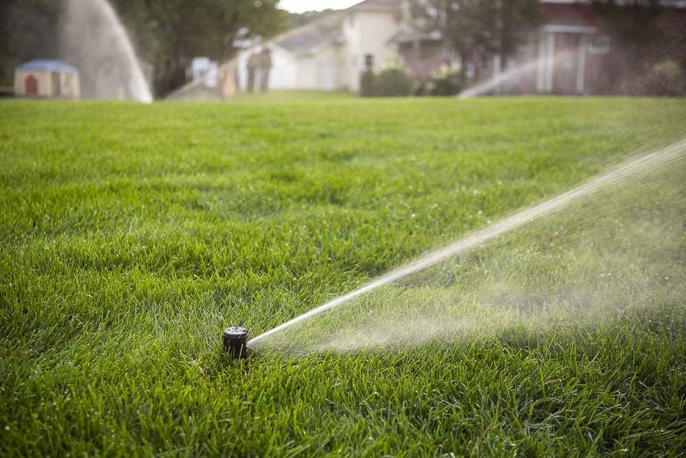 Rotary, Spray, & Drip: Understanding 3 Common Types of Lawn Sprinkler Heads