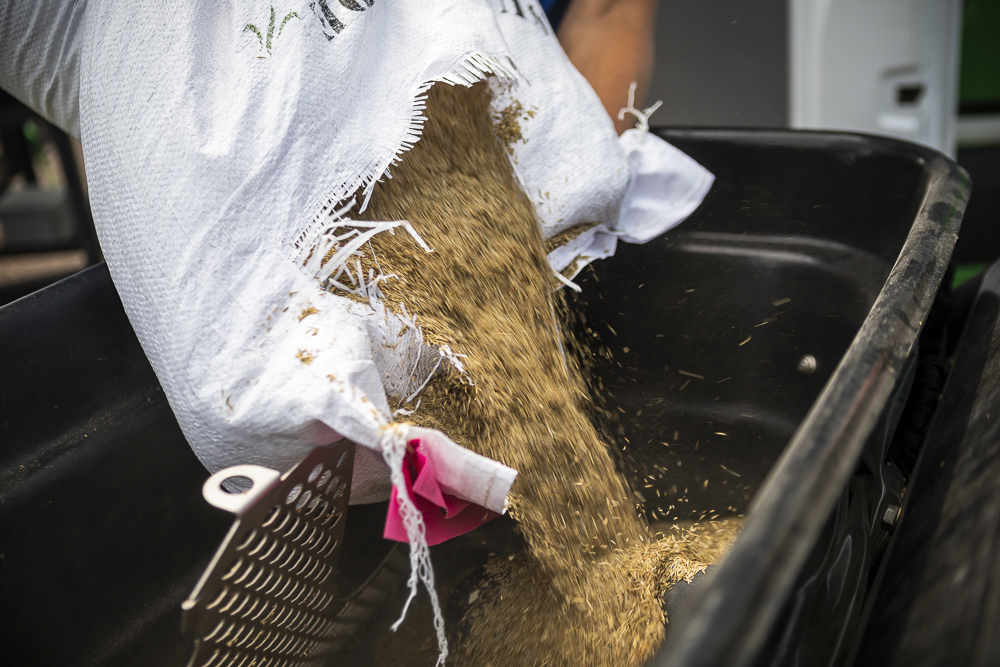 Should You Seed Your Lawn in Fall or Spring? Tips for WI & MN Homeowners