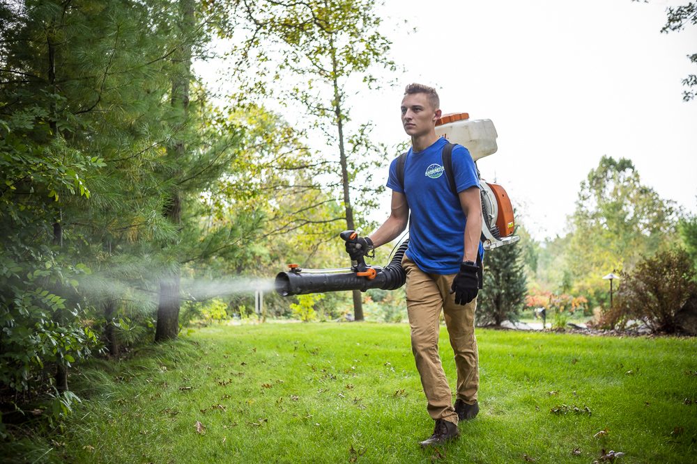 My Yard is Infested with Ticks: How to Kill Ticks and Keep Them Away