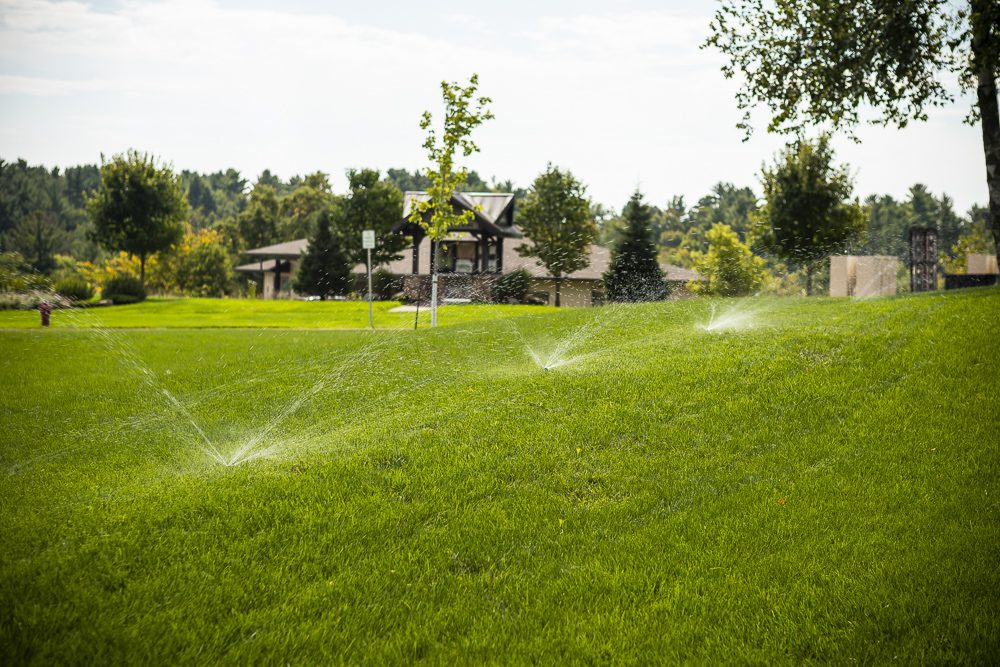 When is the Best Time to Water Lawns? Irrigation Tips for WI & MN Homeowners