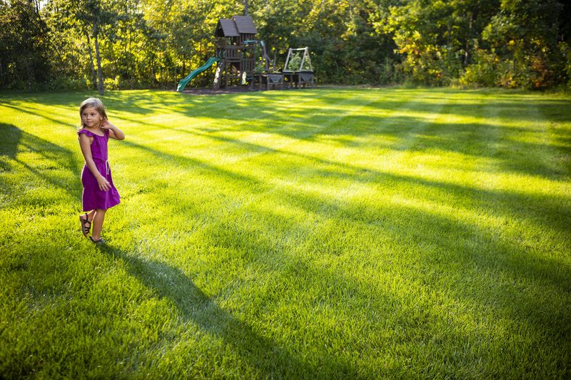 Healthy green lawn at a Chetek, WI home