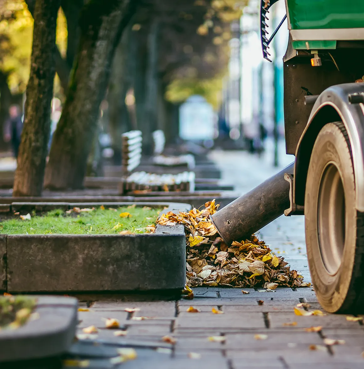 Laub wird mit einem Blasgerät von einem städtischen Fahrzeug von einem Bürgersteig aufgesammelt.