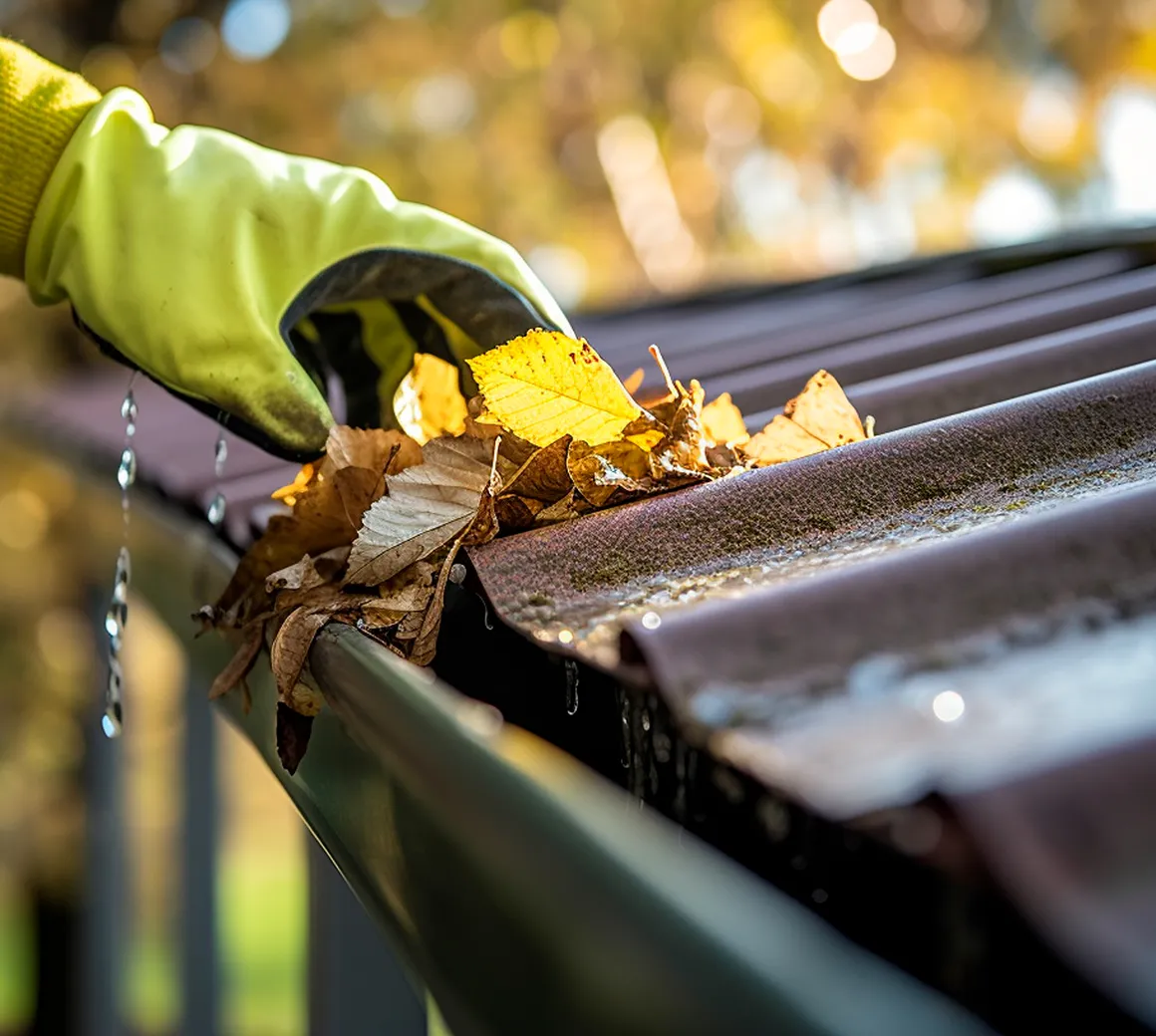 Hand in gelbem Handschuh, der nasse Herbstblätter aus einer Dachrinne entfernt.