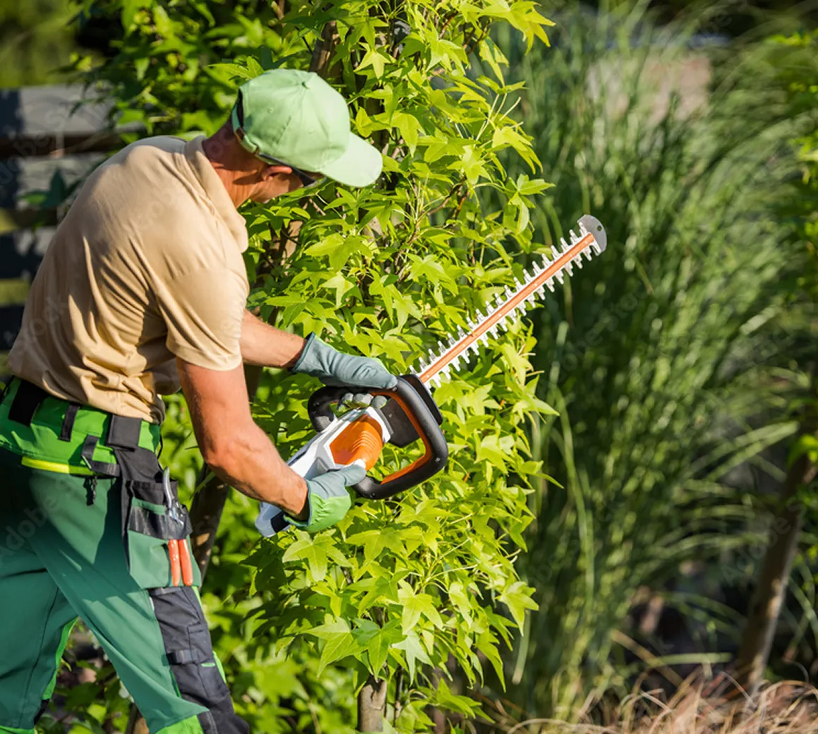 Ein Raum, halb renovierungsbedürftig mit einer Leiter und schmutzigem Boden, halb frisch renoviert mit weißen Wänden und poliertem Holzboden.