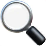 Magnifying glass with a silver rim and black handle.