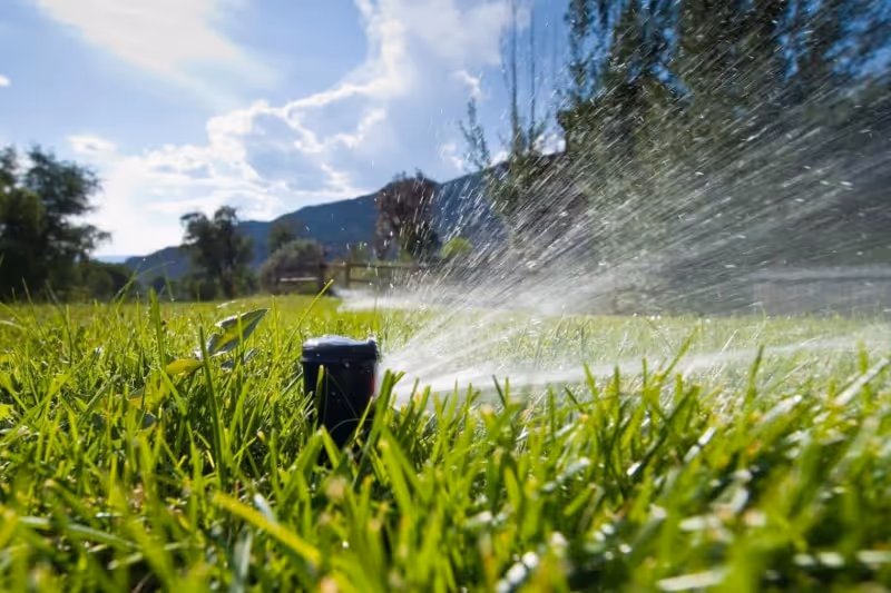 sprinkler head spraying water on grass