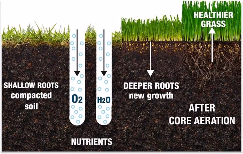 lawn aeration diagram 
