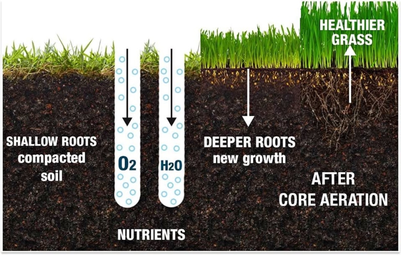 lawn aeration diagram