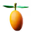 mangue