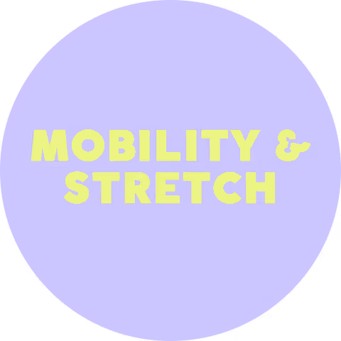 Mobility & Stretch program cover