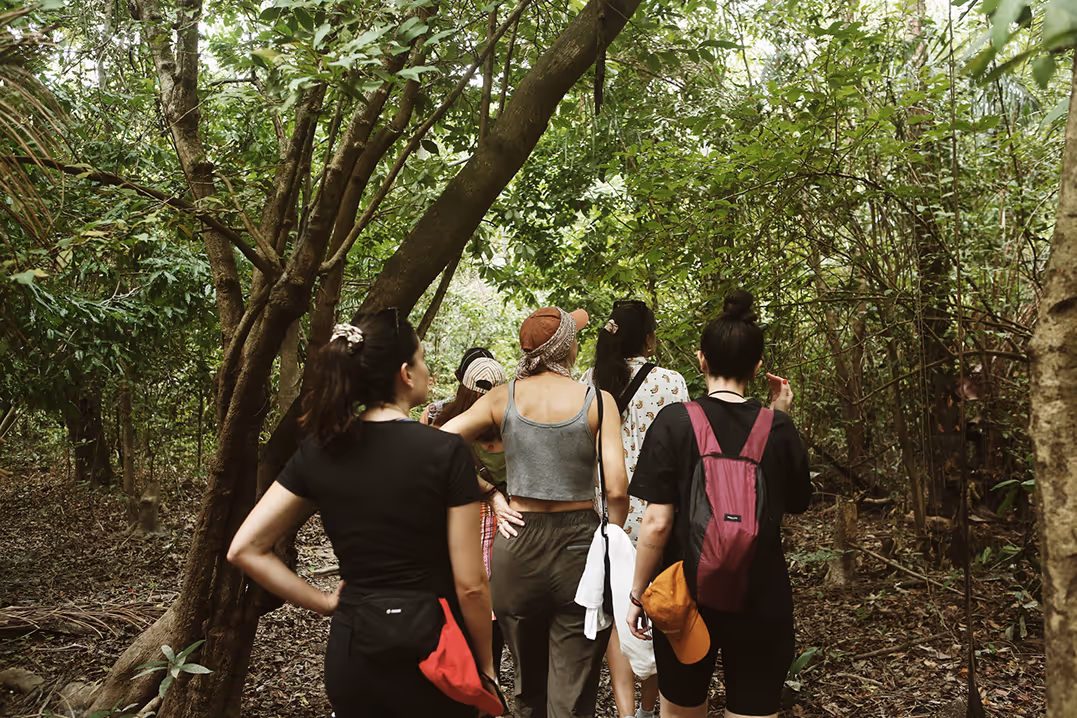 Group of people walking through a dense, leafy forest trail.