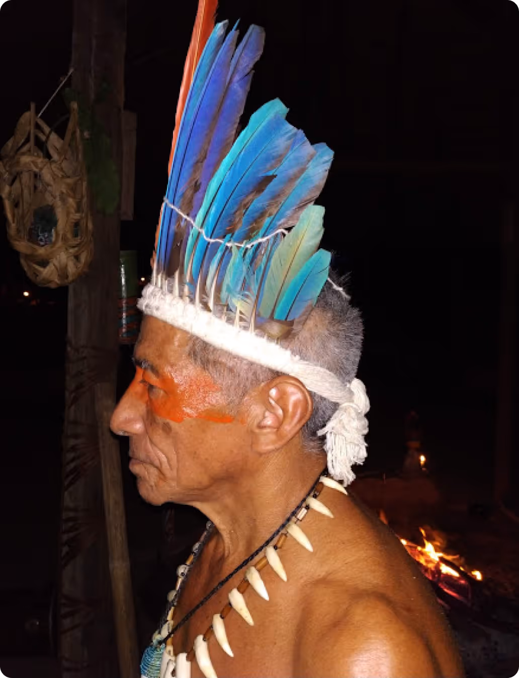An older man and a young woman sit on a bench outdoors, engaged in conversation with tropical greenery in the background.