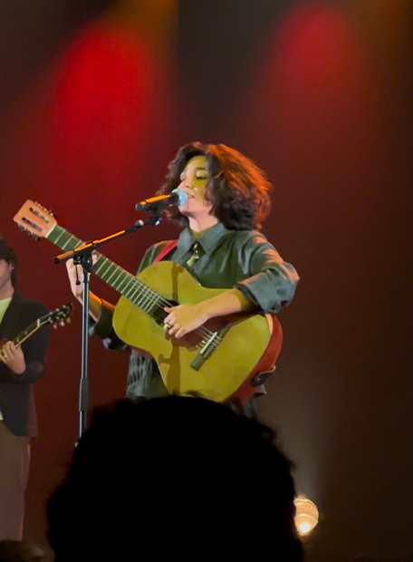 Imaginary House Fish