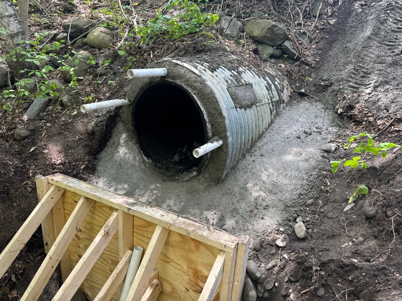 Service Single Image