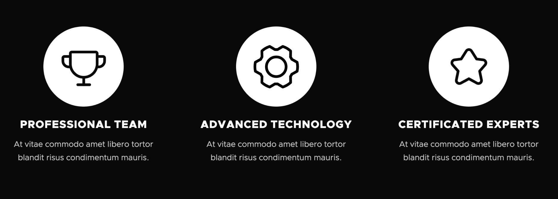 Icons And Graphics - Autocar X Webflow Template