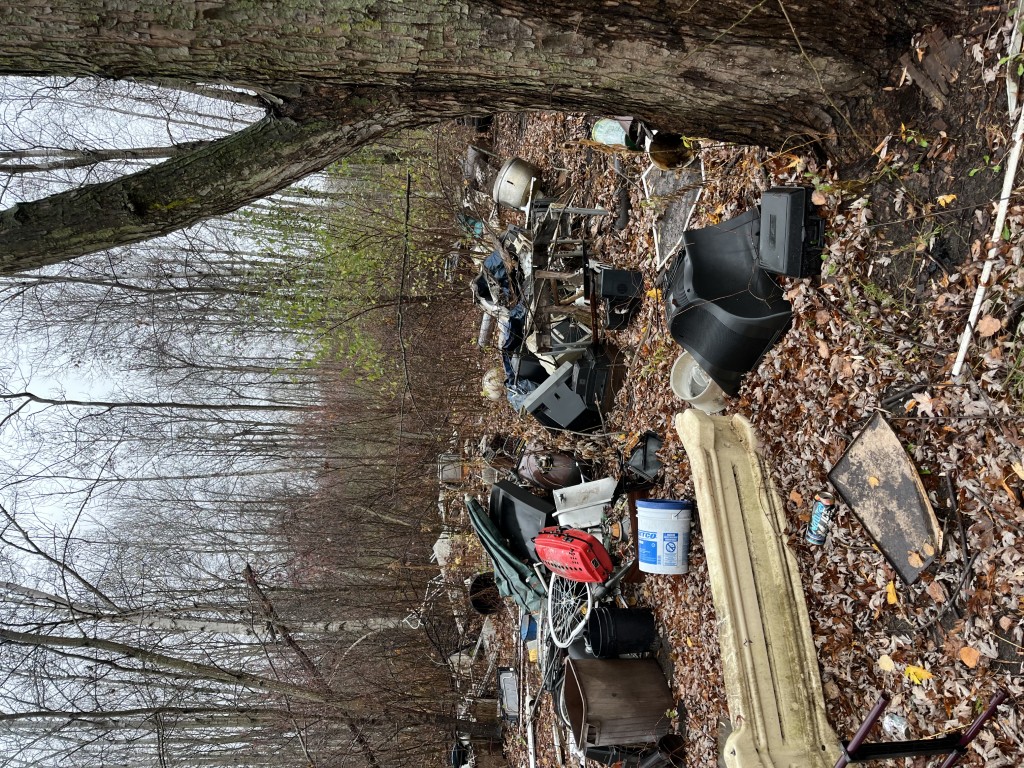 Pile of assorted discarded items including television sets, a bicycle wheel, buckets, and household debris in a leaf-covered forest area. Ek Disposal Services Trash-'n-Dash Junk Hauling services