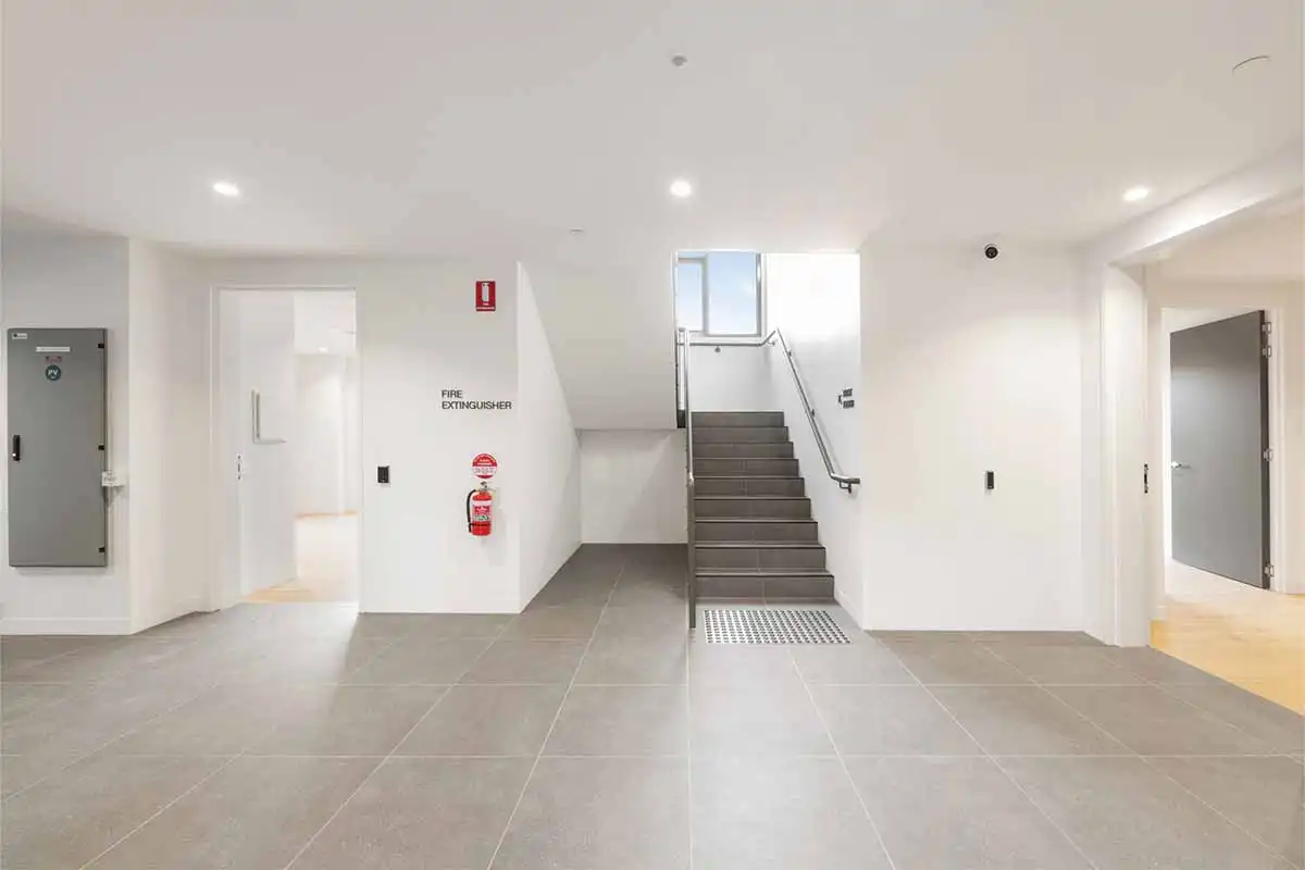 Bumble Bee Frankston