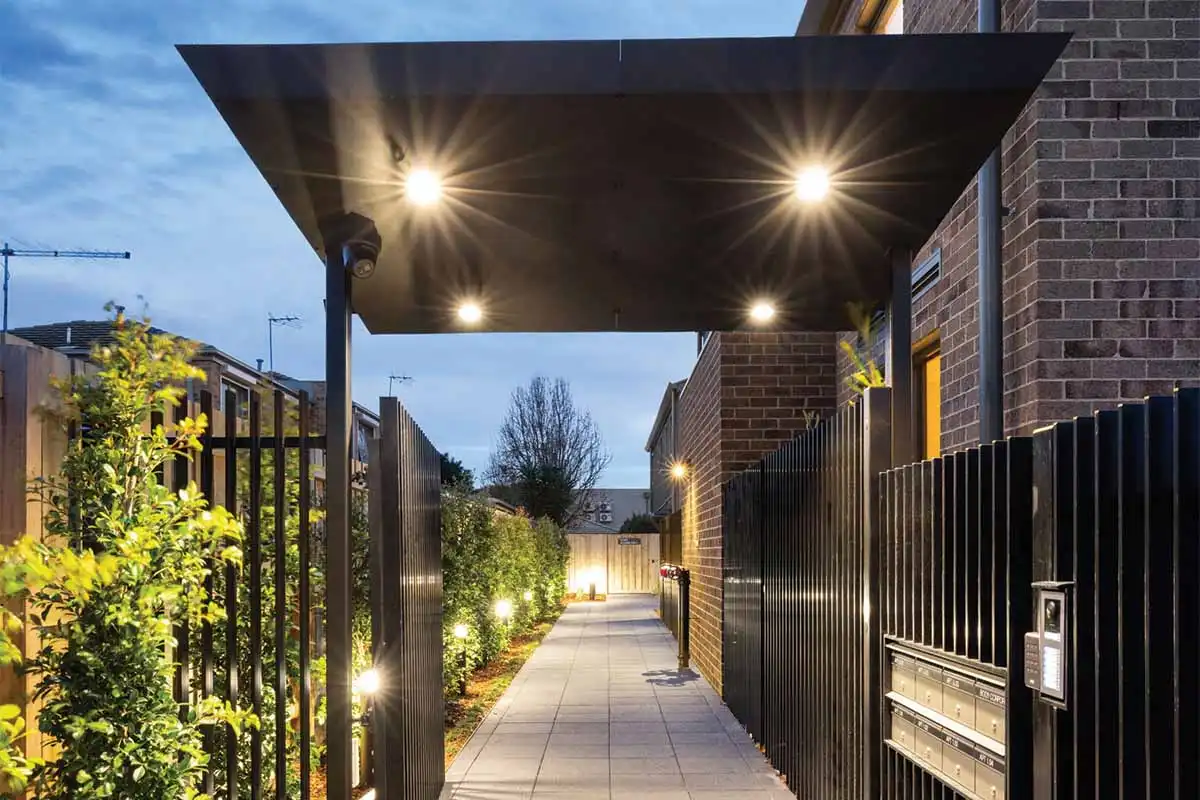 Bumble Bee Frankston