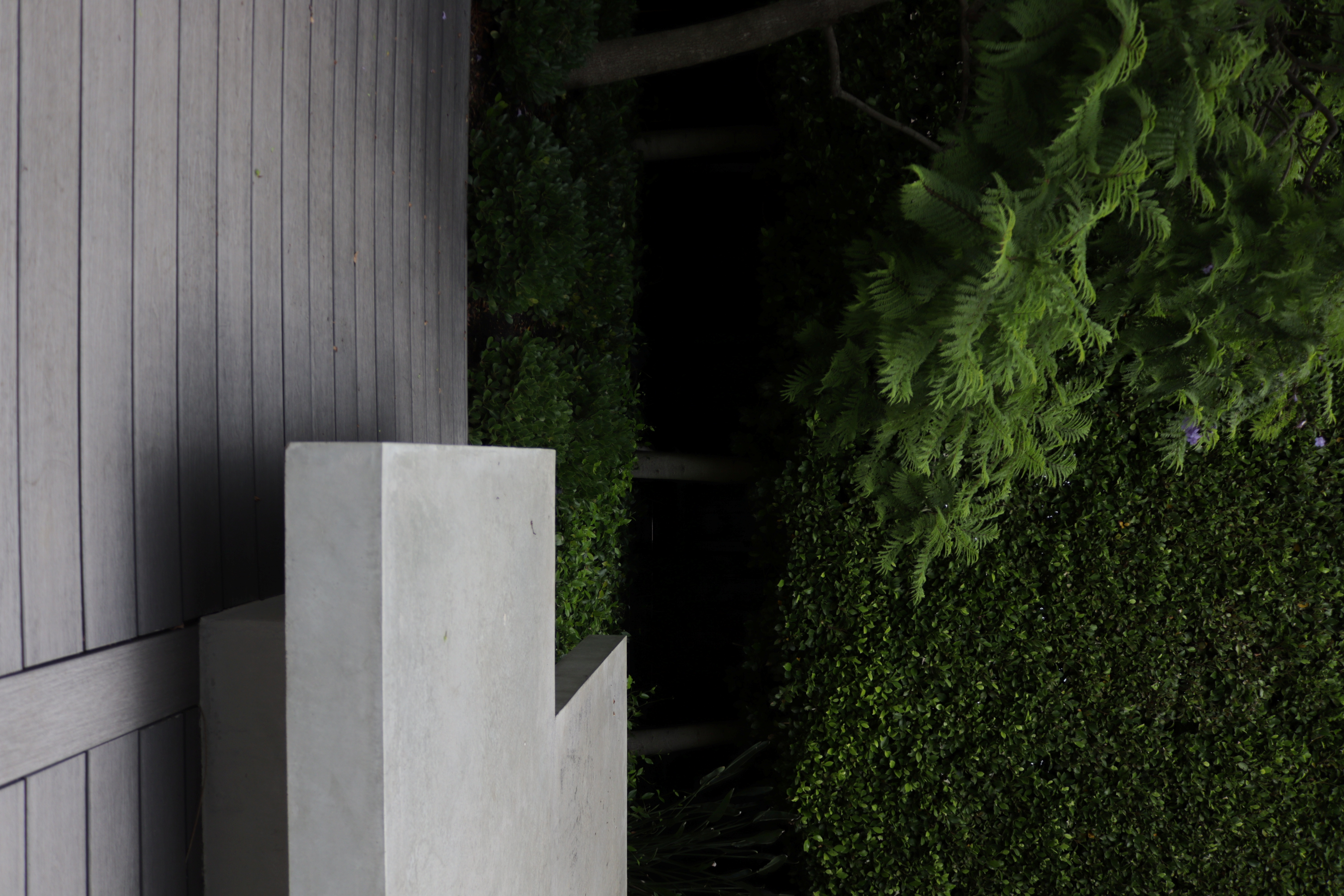 Modern concrete bench on wooden deck surrounded by lush green bushes and trees.