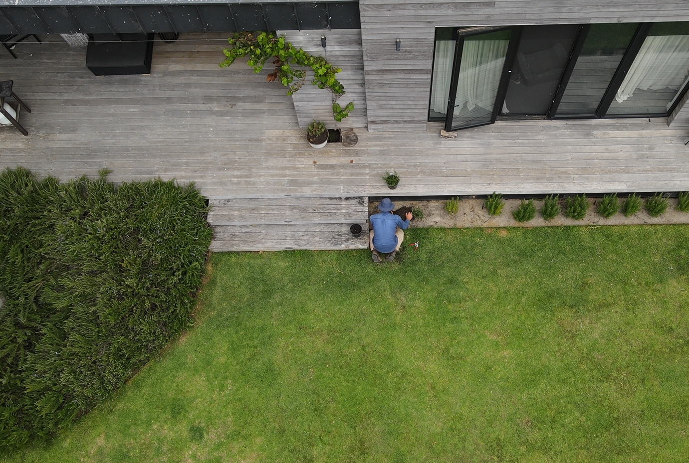 Man kneeling and gardening next to wooden deck outside a modern house with glass doors, surrounded by green grass and shrubs.