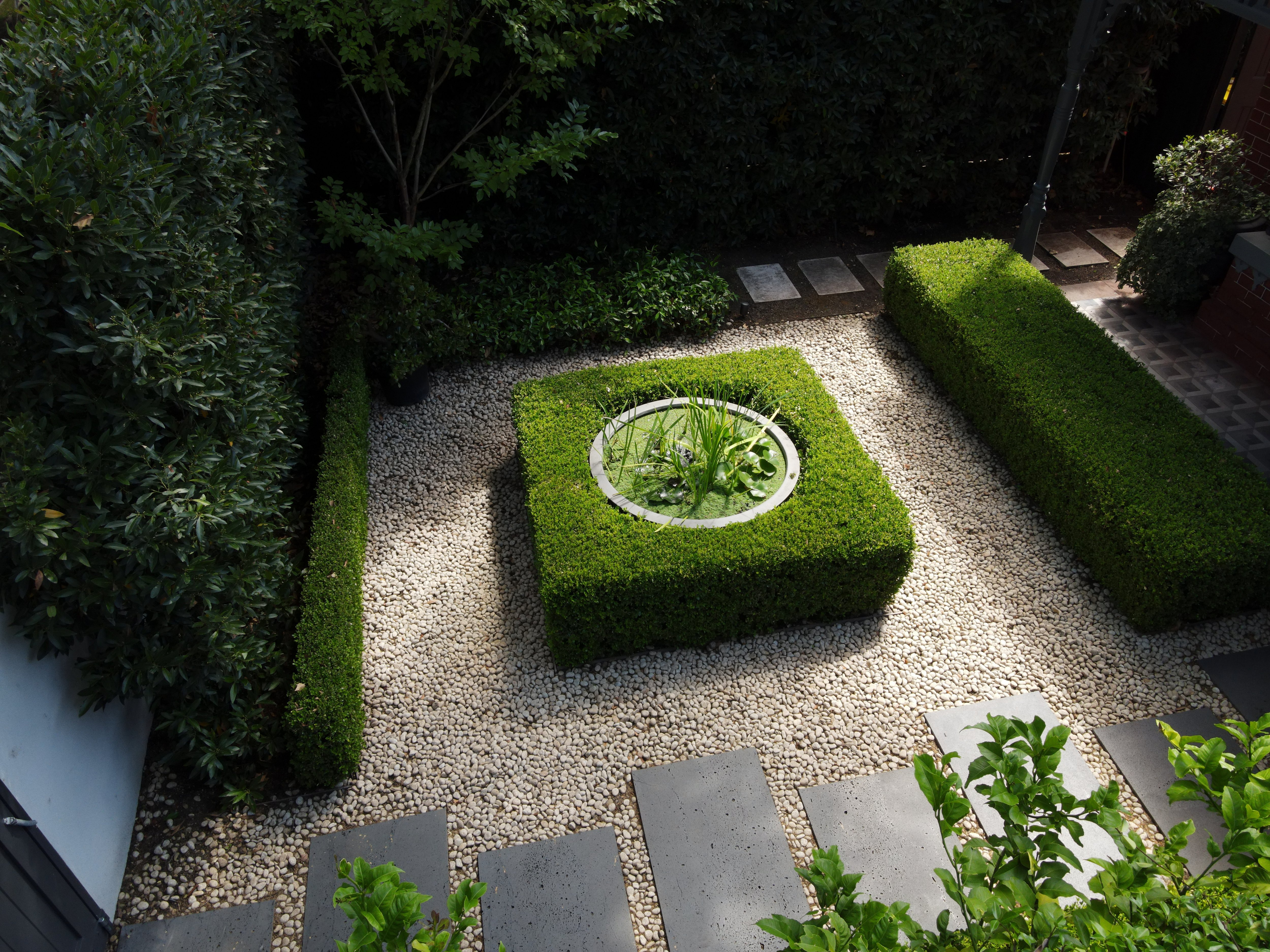 Top view of a garden with neatly trimmed rectangular hedges, a circular planter with aquatic plants in the center, and a white pebble ground with gray stepping stones.