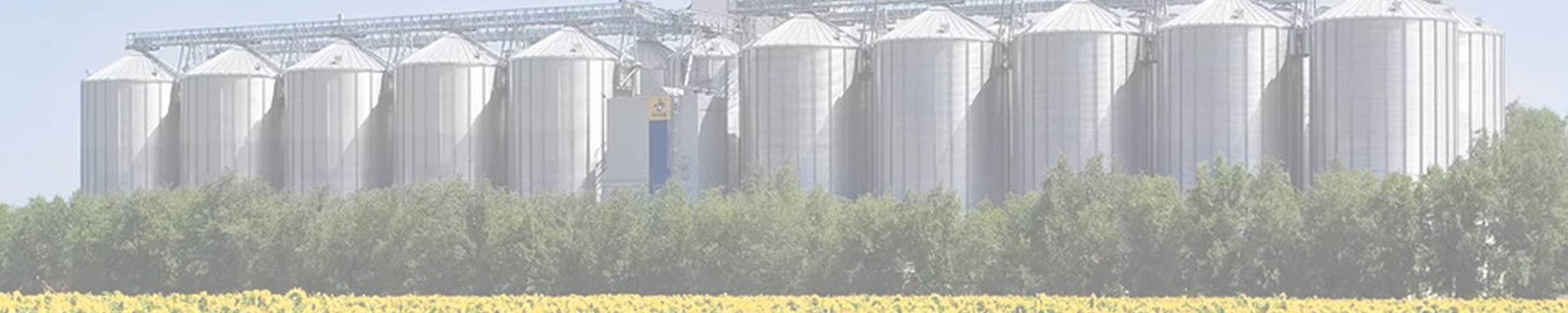 Row of metallic grain silos behind green trees and a field of yellow sunflowers under a clear sky.