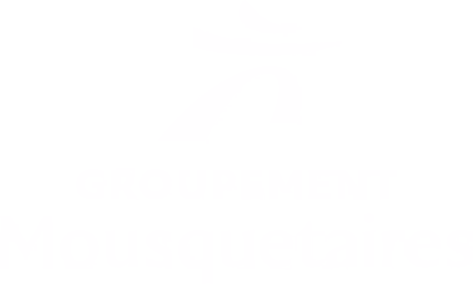 Logo Groupement Mousquetaires