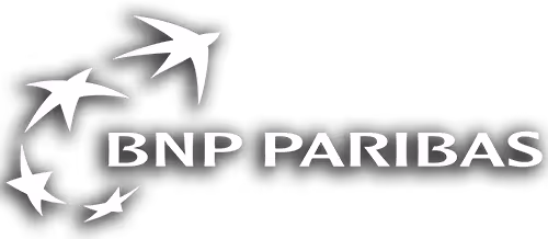 Logo BNP