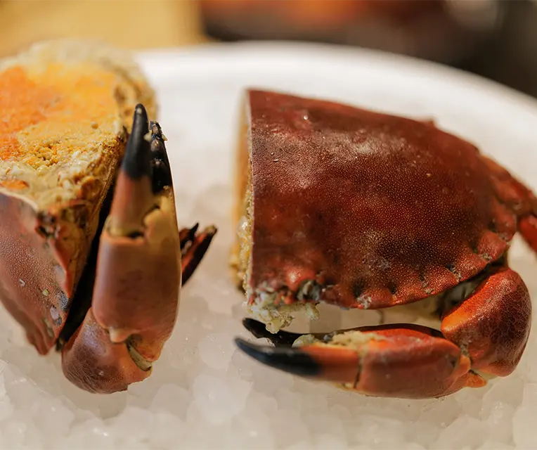 Assiette de tourteau