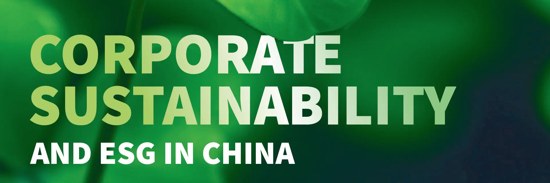 Tony Zhang for German Chamber Ticker: Crafting a Winning ESG Narrative