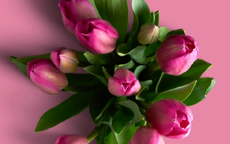 IWD 2025: The Women Who Shaped My Journey