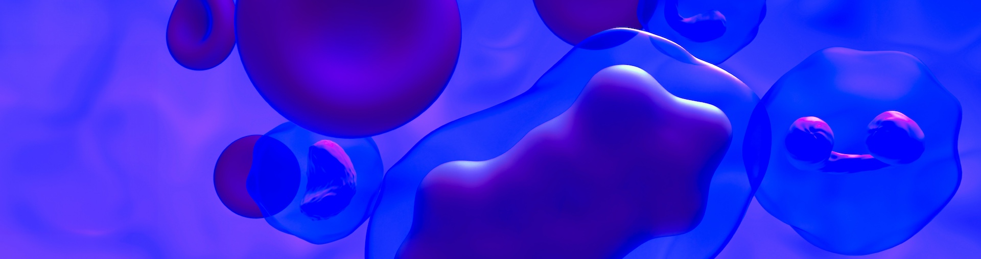 Brands in Motion 2024 Health Report: Reputation Rules